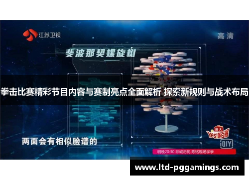 拳击比赛精彩节目内容与赛制亮点全面解析 探索新规则与战术布局