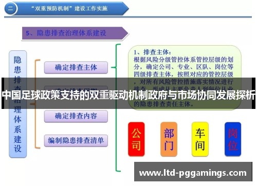 中国足球政策支持的双重驱动机制政府与市场协同发展探析