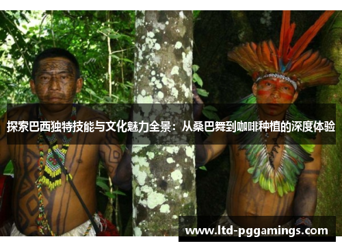 探索巴西独特技能与文化魅力全景：从桑巴舞到咖啡种植的深度体验