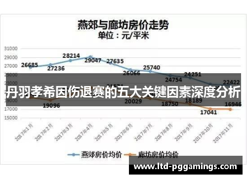 丹羽孝希因伤退赛的五大关键因素深度分析