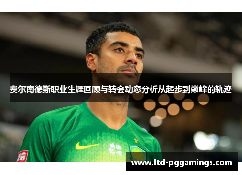 费尔南德斯职业生涯回顾与转会动态分析从起步到巅峰的轨迹